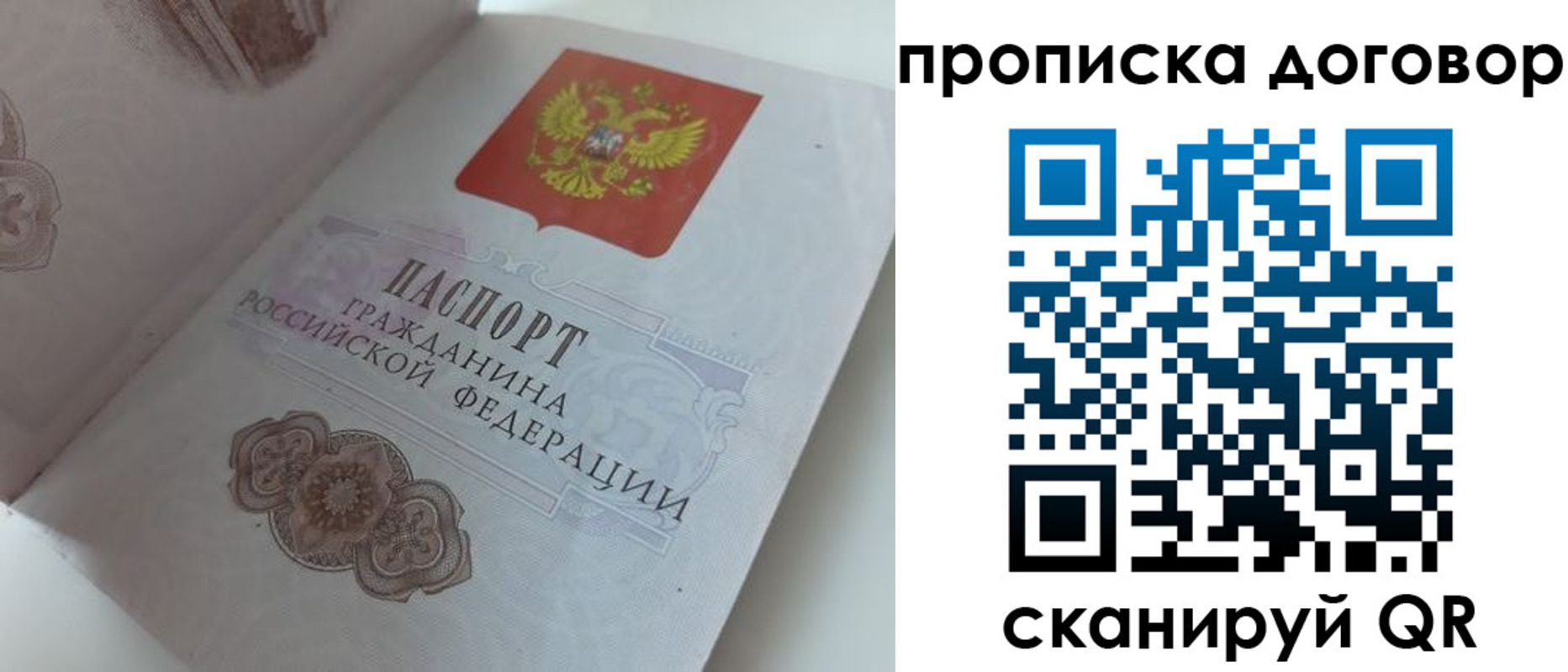 прописка поиск в Ельне